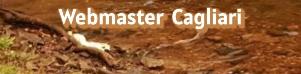 Webmaster Cagliari